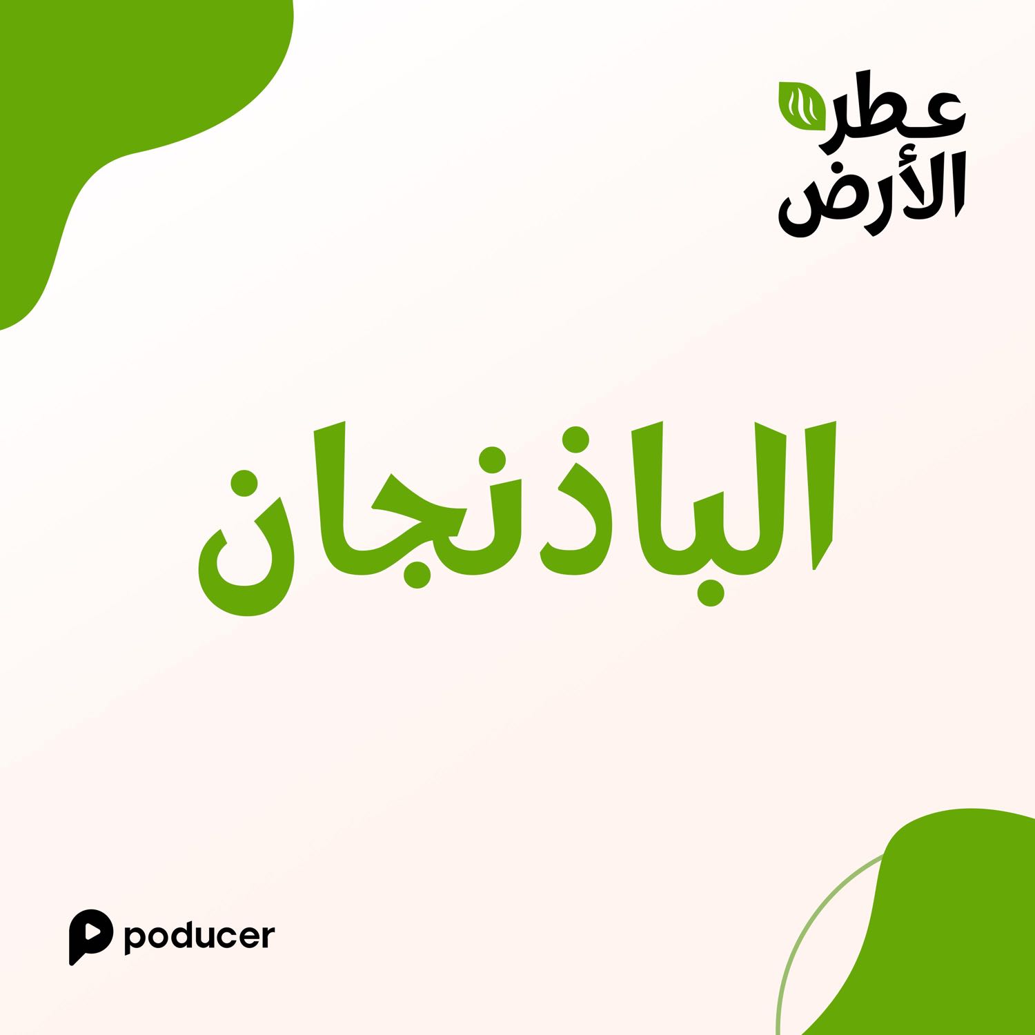 EP006 | الباذنجان EP006 | الباذنجان