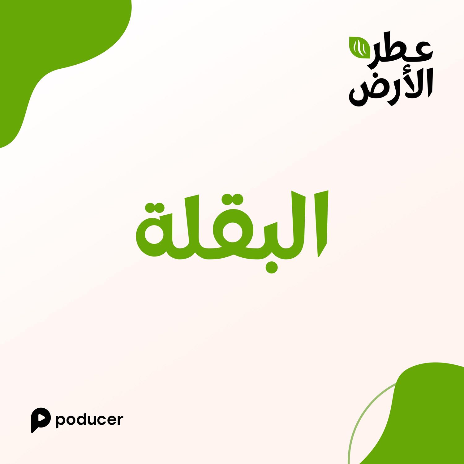 EP011 | البقلة EP011 | البقلة